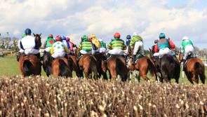 Punchestown Tips: The horses worth backing on DAY 2 of Punchestown 2019