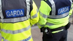 Gardai to receive bravery medals 38 years after freeing IRA captive 