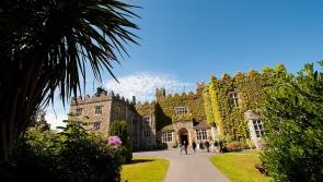 TripAdvisor's Top 5 Hotels in Waterford 