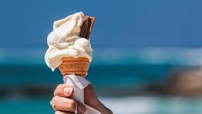 10  Things To Do in Waterford this Summer