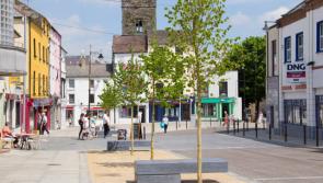 Portal opens for consultation on Waterford's future