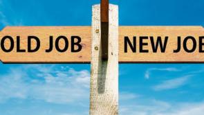 This week's Waterford jobs guide