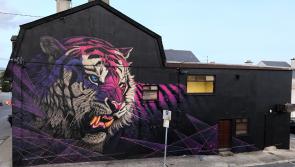 Waterford Council announces €1.3 million funding for festivals in 2019
