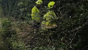 Tipperary emergency services prevent the risk of &lsquo;a head on collision&rsquo; by removing fallen tree from road