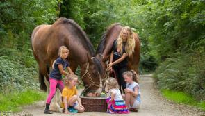 Waterford Harvest Festival promises to be a memorable weekend