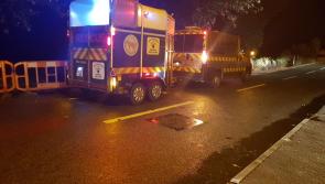 Horse dies having been found injured in Waterford