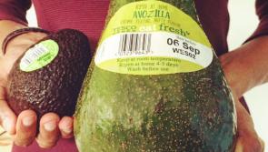 Giant avocados arrive in  Waterford Tesco for the weekend 