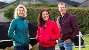Waterford farmer to appear on new series of RTE's Ear To The Ground