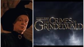 Carrick-on-Suir woman to play very familiar Harry Potter character in spin-off movie 