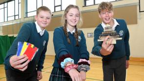 Waterford's future business leaders to take part in WIT expo 