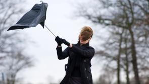 Alert: Storm Betty to batter Waterford this evening with 'severe weather warning' issued