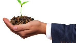 Waterford projects awarded grants under Energia Get Ireland Growing Fund