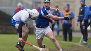 REPORT: Waterford cruise to 16-point league win over Laois 