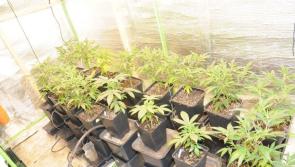 Man arrested during €30,000 Waterford drugs raid 