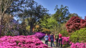 'Biggest year yet' planned for Waterford stunning Congreve Gardens 