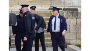 South East puppy farmer jailed for cruelty of 'biblical' proportions 