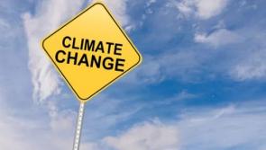 Applications for Waterford council's climate change action team now open