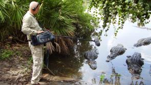 David Attenborough's sound recordist to tell Waterford event about his incredible work