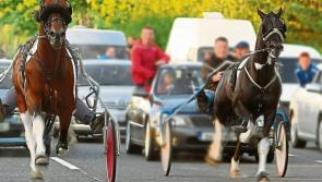 VOTE: Should the Waterford sulky racing community be given a designated venue for the activity?
