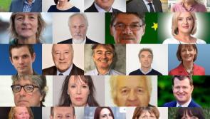 Who are the candidates in Ireland South for the European Elections?