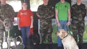 Waterford soldiers enjoy dog awareness day at Kilkenny Defence Forces barracks 