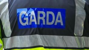 Gardaí search for car occupants who fled South East checkpoint 