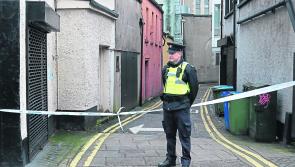 Teenager jailed for 'vicious and savage' assault on garda
