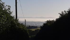 ALERT: Motorists taking pictures as they approach the scenic Ploughing site in Carlow