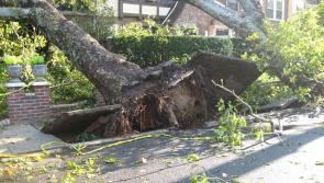 Health and Safety Authority issues Storm Lorenzo warning to workers and farmers