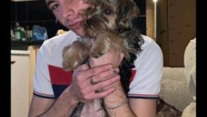 Grieving family search for late man's missing dog after horror crash