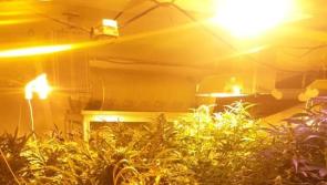 Gardaí make €70,000 drug discovery during South East operation 