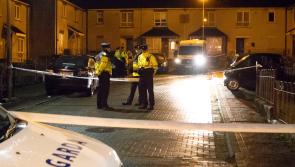 'The area is devastated': Gardaí investigating child death in Limerick 