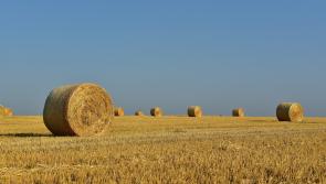 2019 Review of the Agricultural Land Market