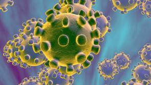 Glastonbury organisers issue statement as coronavirus (Covid-19) ravages Britain