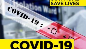 Latest number of Covid-19 deaths on record high day for confirmed cases in Ireland as total positive tests pass the 12,000 mark