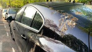 How fake bird dirt protects your car's paintwork in the real world