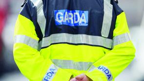 Two arrested after drugs discovery in Waterford 