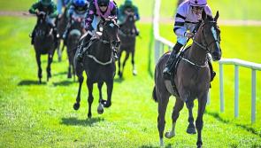 Horse Racing Ireland and RTÉ confirm increased televised coverage for June