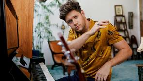Niall Horan and other Irish celebs in online charity gig fundraiser for the London Irish Centre