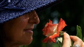 Has your sense of smell or taste changed during the Covid-19 pandemic?