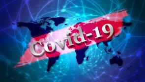 More cases of Covid-19 confirmed at South East company
