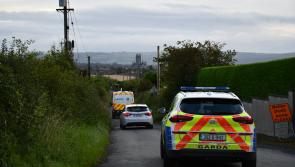 Gardaí arrest four men during morning raid in the South East 