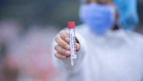 LATEST! HSE issue statement after South East outbreak of Covid-19