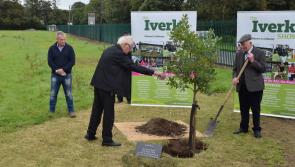 Doubts over this year's Iverk Show in South Kilkenny amid Covid pandemic 
