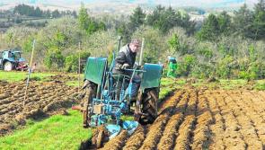 Excitement building in Waterford for National Ploughing Championships digital events 
