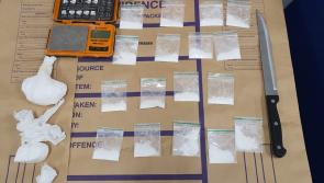 Woman arrested following garda drugs seizure in the South East 