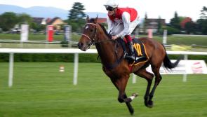 Horse Racing Ireland announce new dates for cancelled race meetings