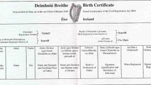 Waterford people can now use new online facility to register births and deaths