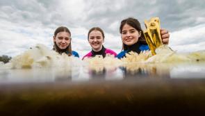 Waterford students encouraged to enter BT Young Scientist & Technology Exhibition 2022