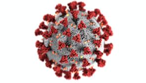 Concern within WHO as they monitor new coronavirus variant 
